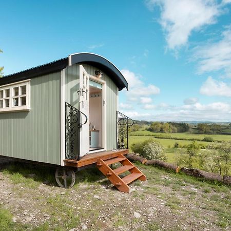 The Heron Shepherds Hut At Lyth Valley Brigsteer 외부 사진
